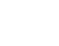 Hidden Pigeon Company